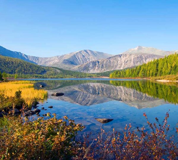 Into the Wild: Adventures in the Heart of Nature